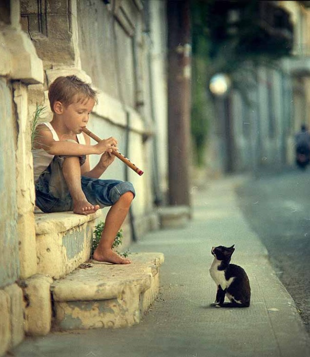 child playing for cat