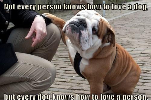 fnr5f-dogs-love-humans.jpg (500×331)