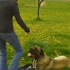 feel good video