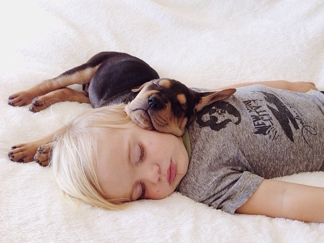 dogs sleeping with babies