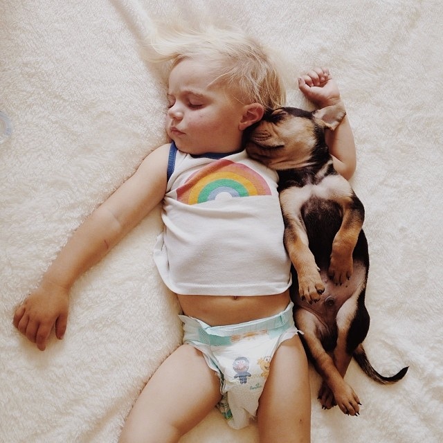 dogs sleeping with babies