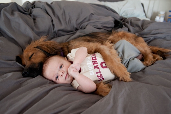 dogs sleeping with babies