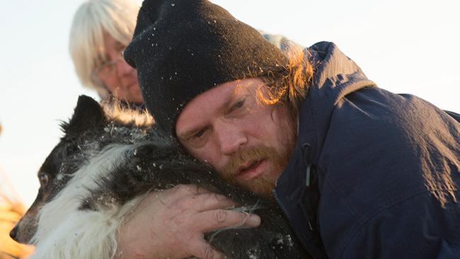 dog saved from tornado