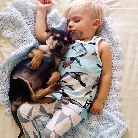 dogs sleeping with babies