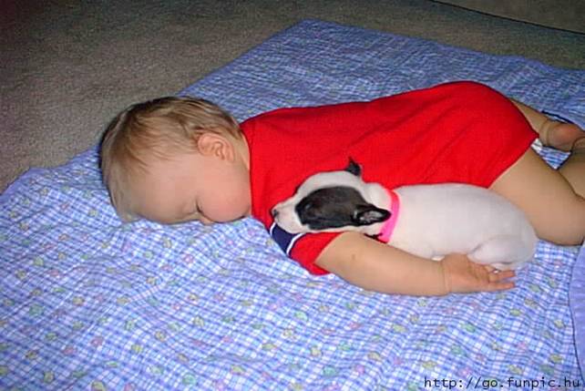 dogs sleeping with babies