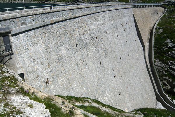 goats on dam wall