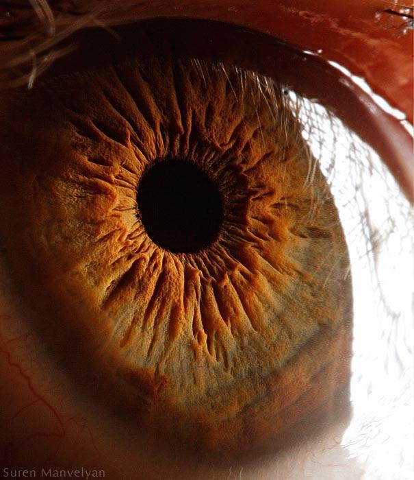 eyes close up