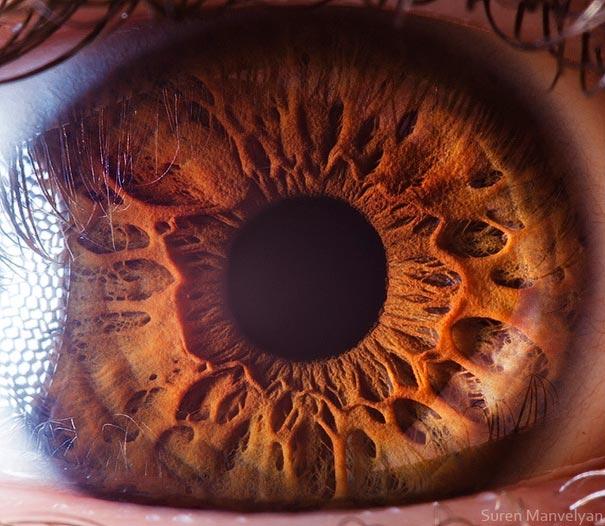 eyes close up