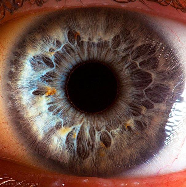 eyes close up