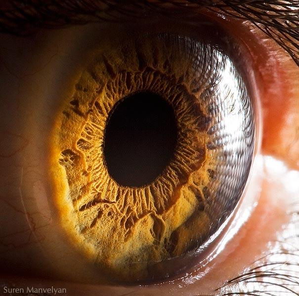 eyes close up