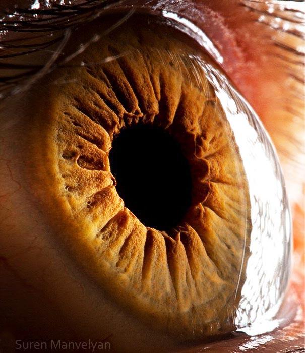 eyes close up