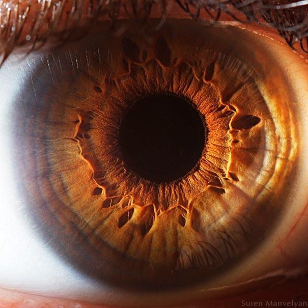 eyes close up