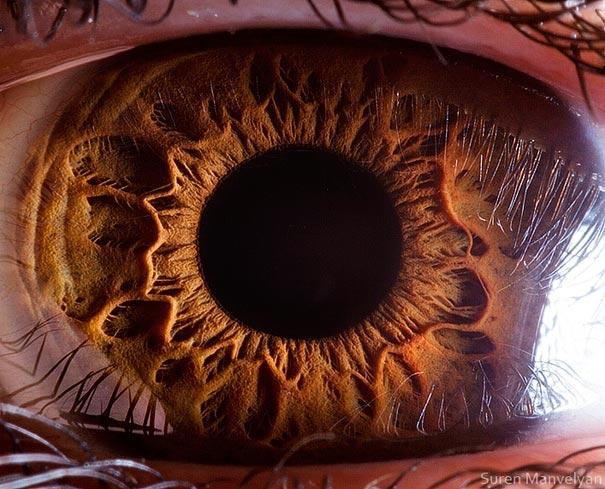 eyes close up