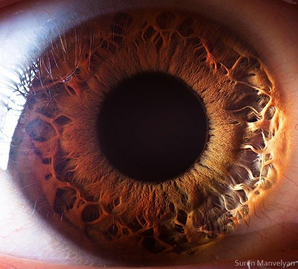 eyes close up
