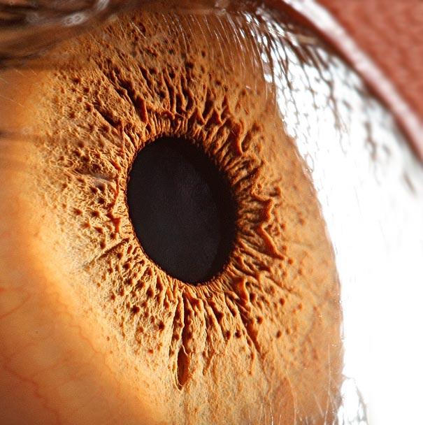 eyes close up