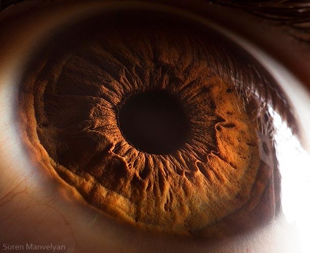eyes close up