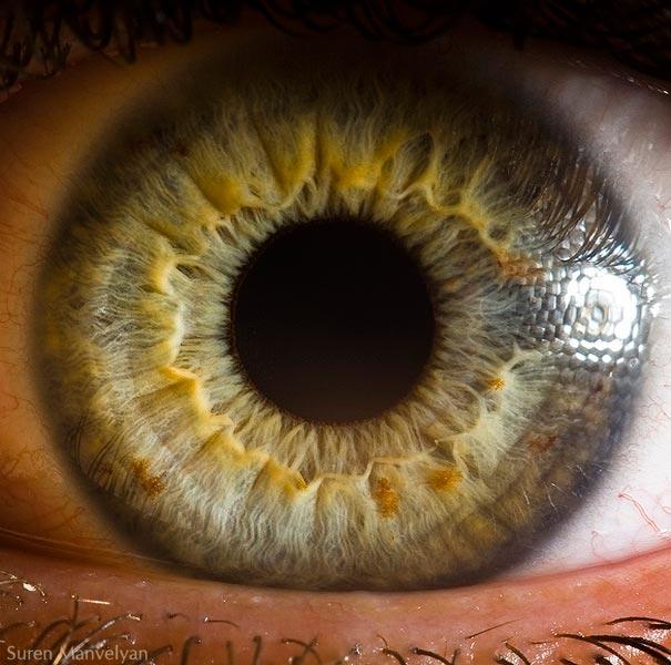 eyes close up
