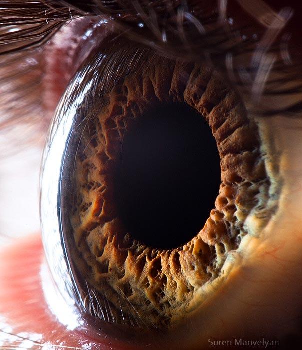 eyes close up