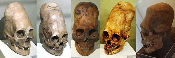 Cráneos en el Museo de Historia de Paracas