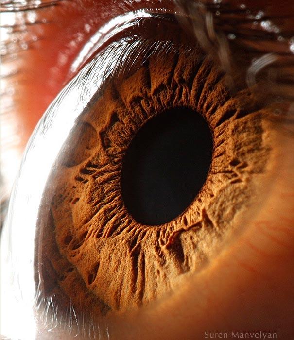 eyes close up