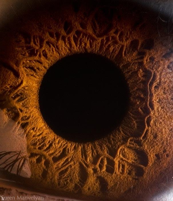 eyes close up