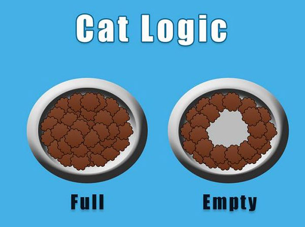 only cat owners understand