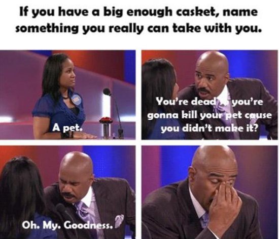 funniest family feud moments steve harvey