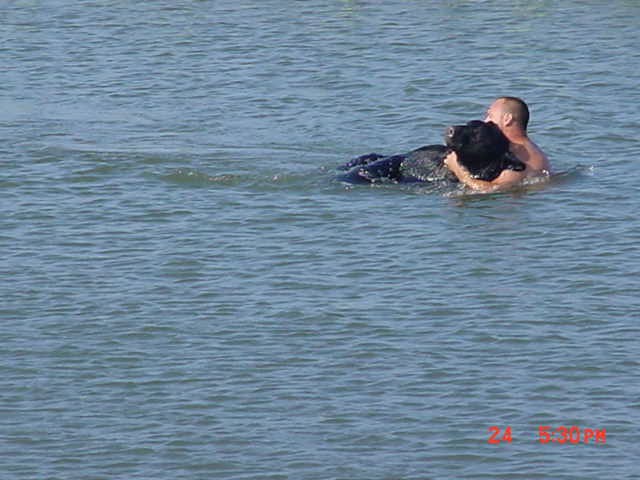 man saves bear from drowning