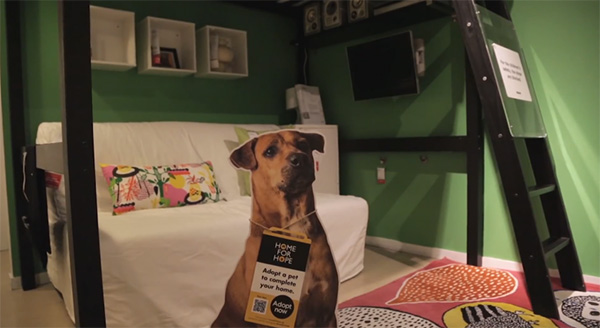 Ikea pet adoption idea