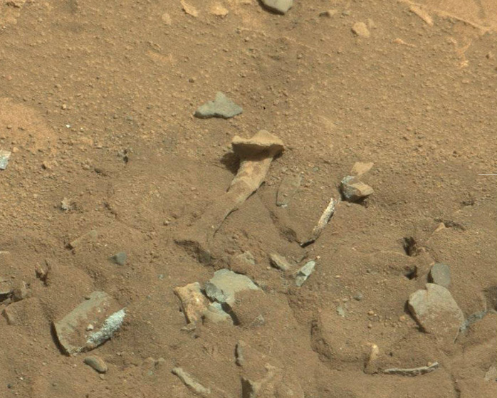 alien thigh bone on Mars