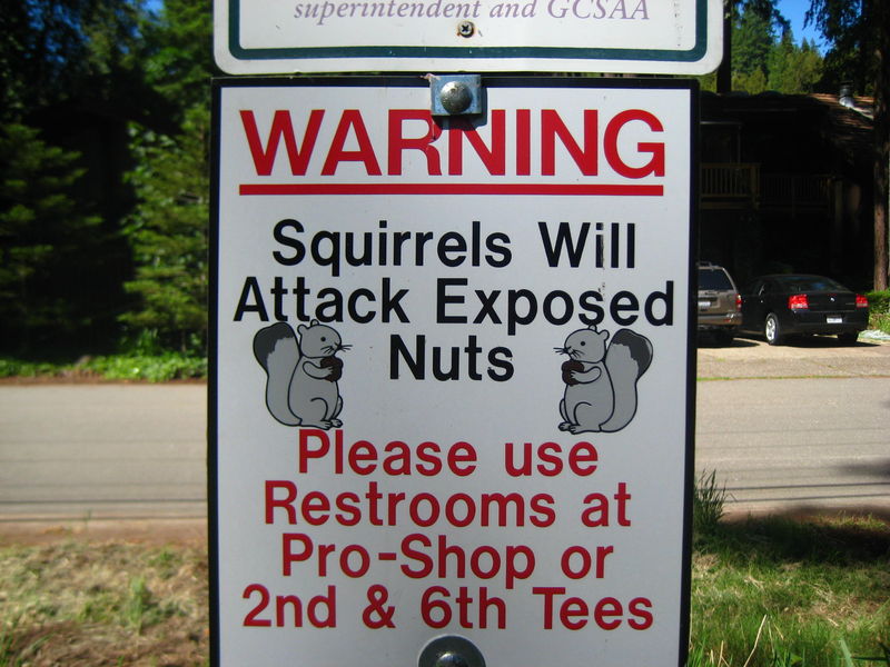 http://www.sunnyskyz.com/uploads/2014/09/a49ww-squirrel-nuts.jpg