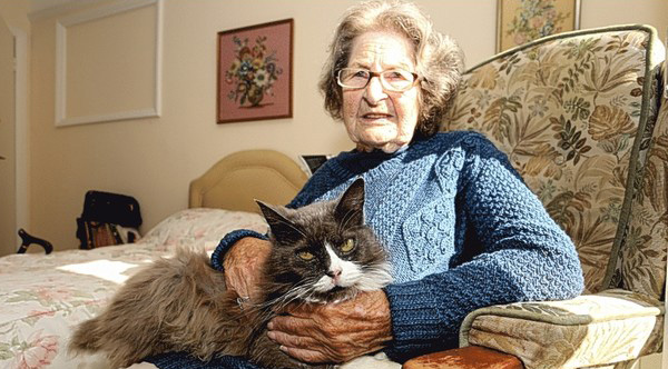 cat finds owner in nursing home