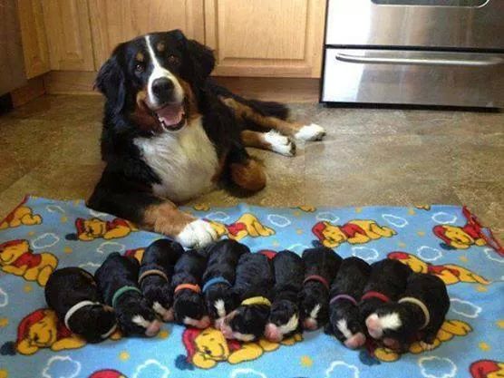 dnn9t-proud-momma.jpg