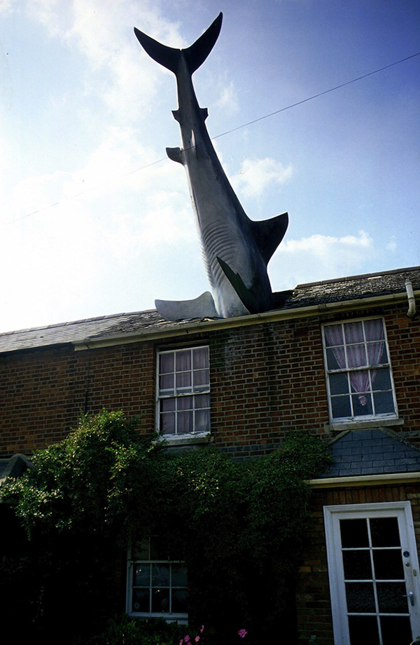 house with giant shark in roof