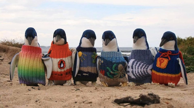 penguins sweaters