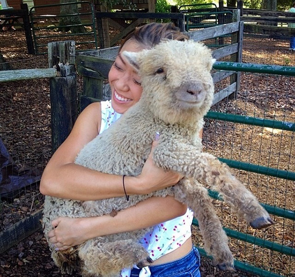 oesoy-happy-sheep.jpg