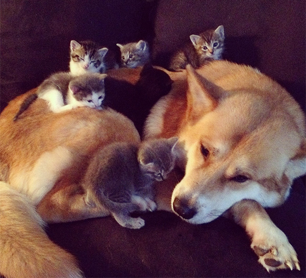 ijeux-family.jpg