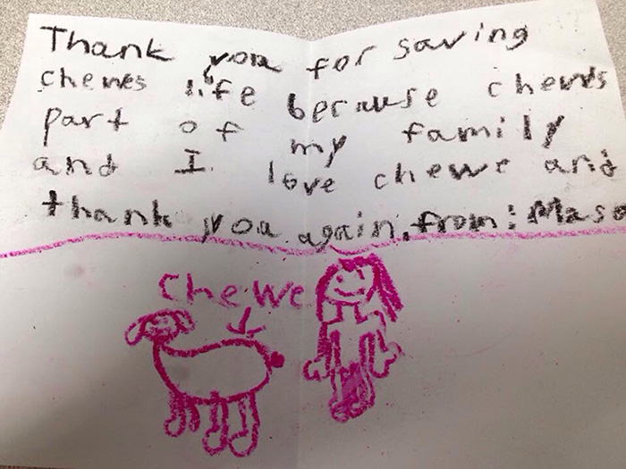 note from boy for saving dog