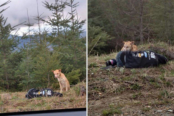 two girls rescue starving dog