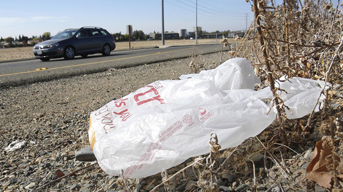  Hawaii first state to ban plastic bags
