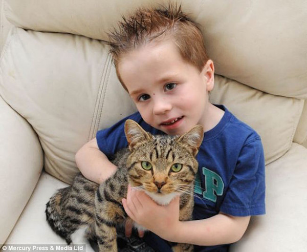 cat saves kid from bully