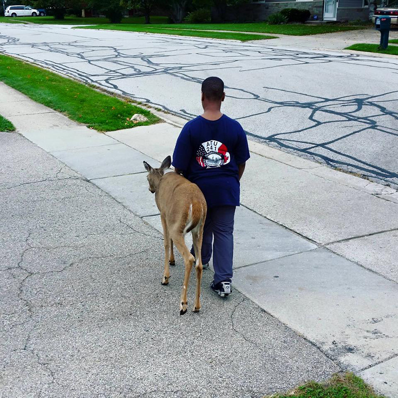 boy walks blind deer