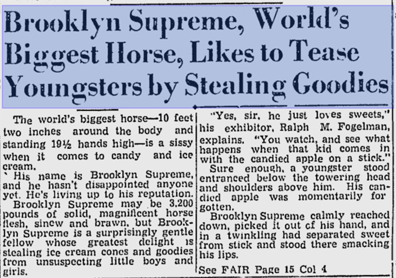worlds largest horse brooklyn supreme