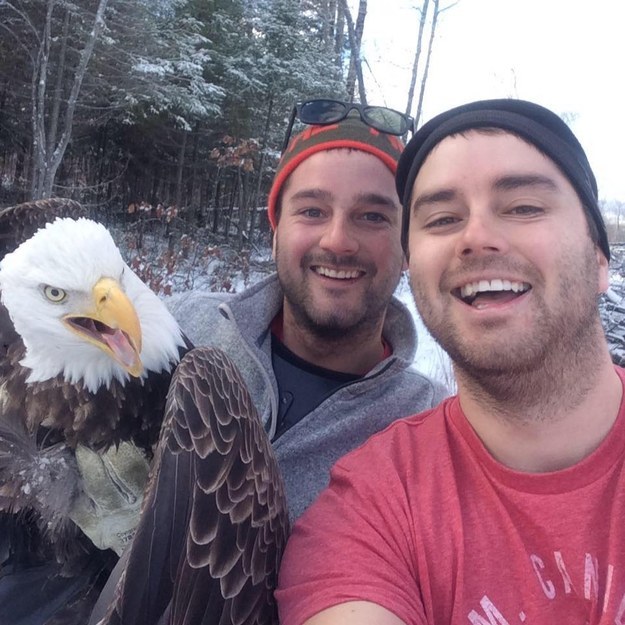 bald eagle rescue selfie