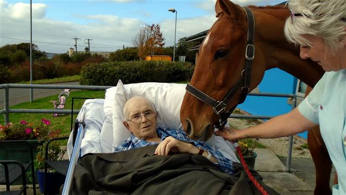 dying man wish to see horse