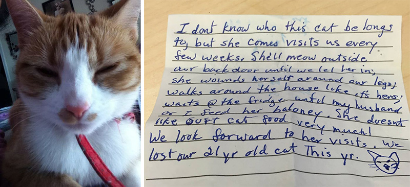 cat comes home with note