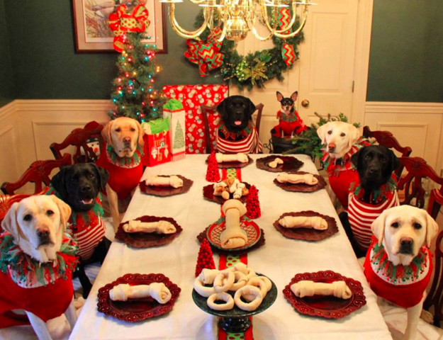p21ze-kids-table-for-dogs-christmas-1.jpg