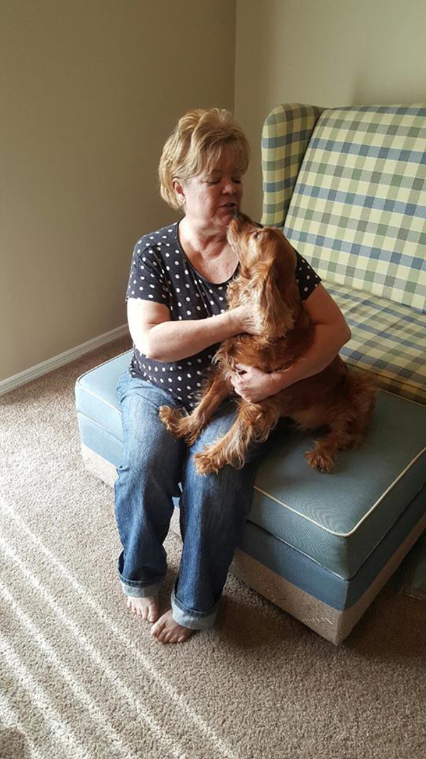 senior dog rescue