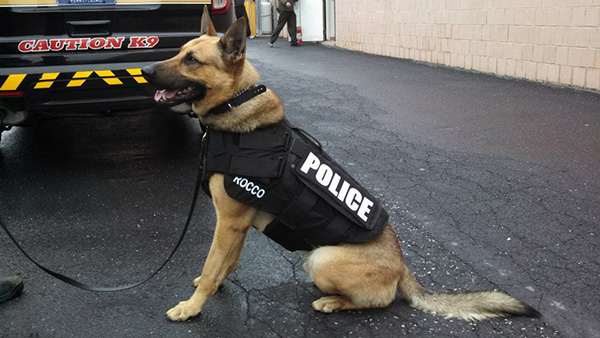 anderson cooper donates k9 bullet proof vests