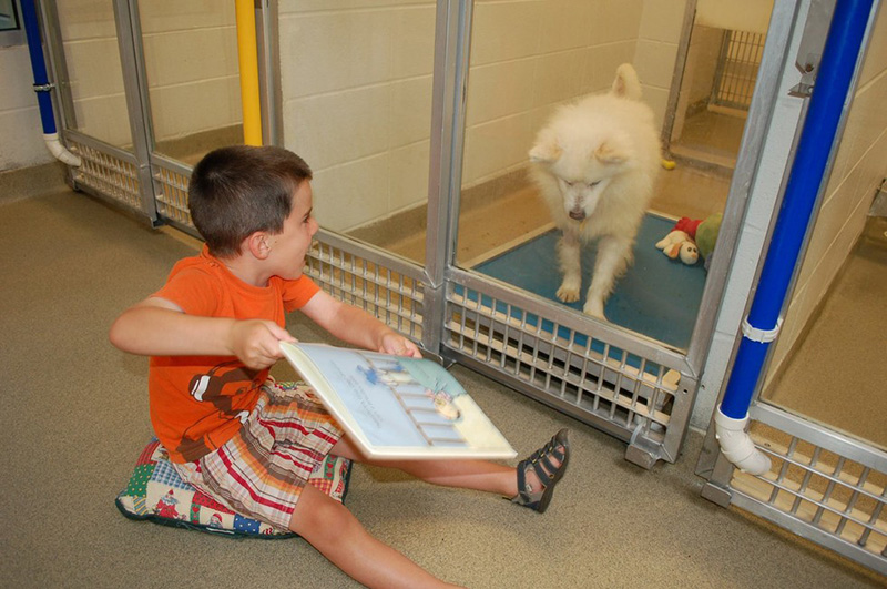 kids reading program animal shelter